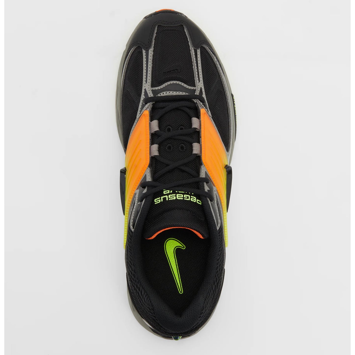 Talla 40 Pegasus Wave