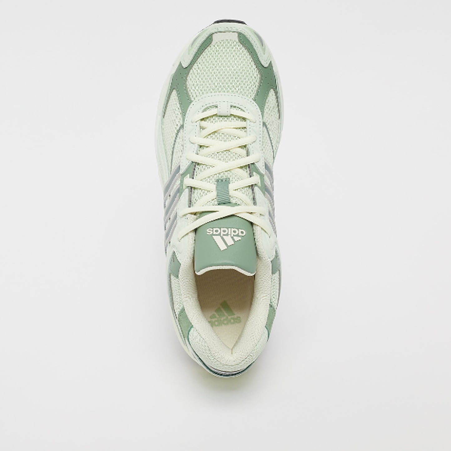 Talla 36 Response CL