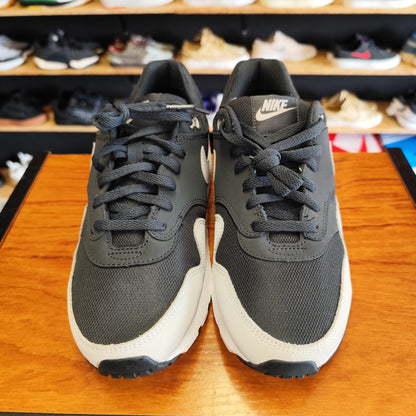 Talla 40 Air Max 1
